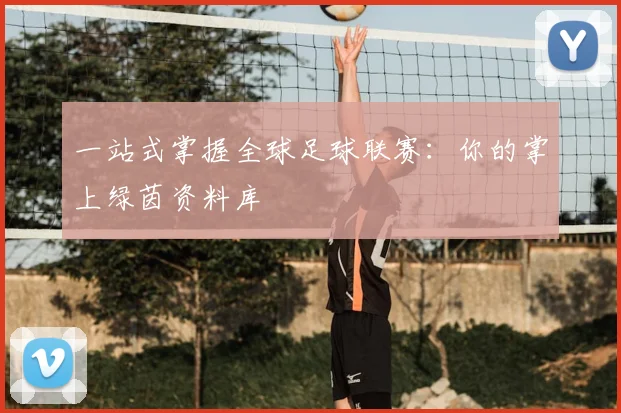 一站式掌握全球足球联赛：你的掌上绿茵资料库