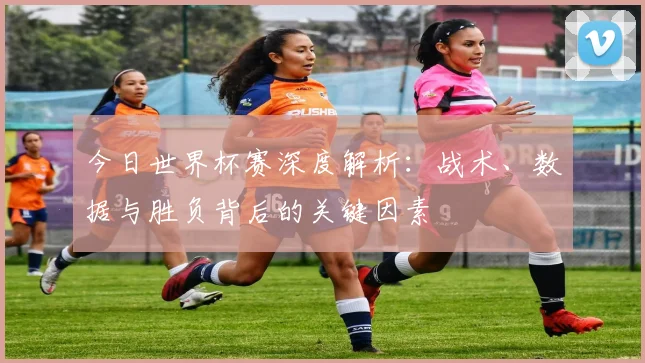 今日世界杯赛深度解析：战术、数据与胜负背后的关键因素