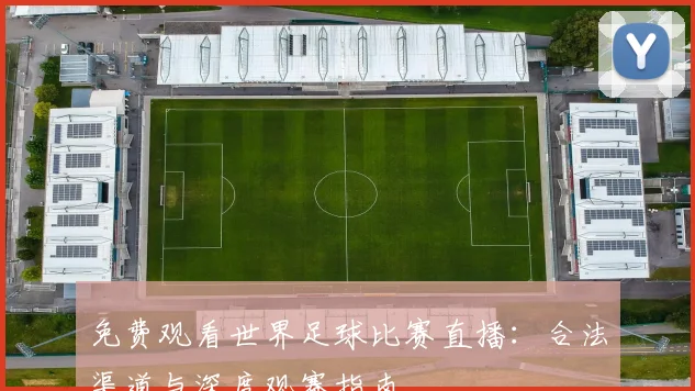 免费观看世界足球比赛直播：合法渠道与深度观赛指南