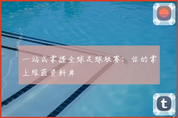 一站式掌握全球足球联赛：你的掌上绿茵资料库